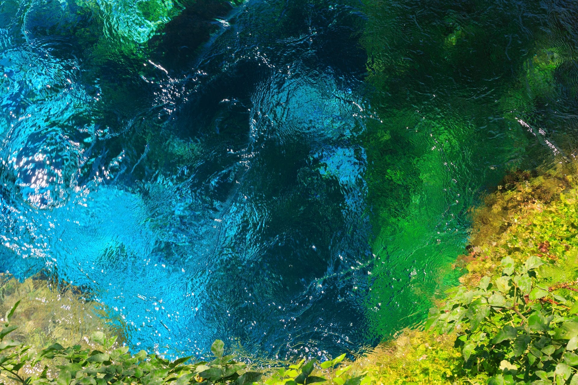 Blue Eye Spring - Image 2