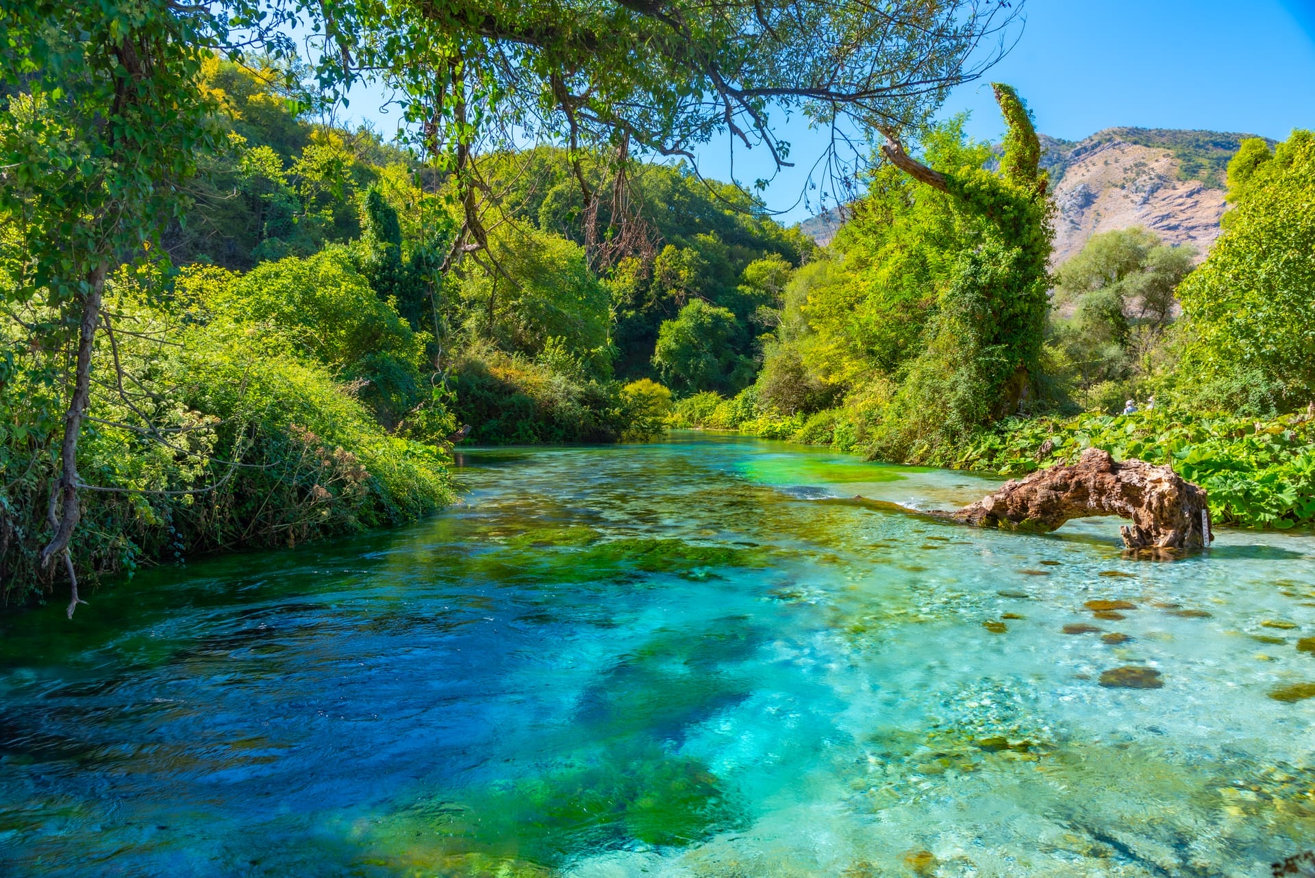 Blue Eye Spring