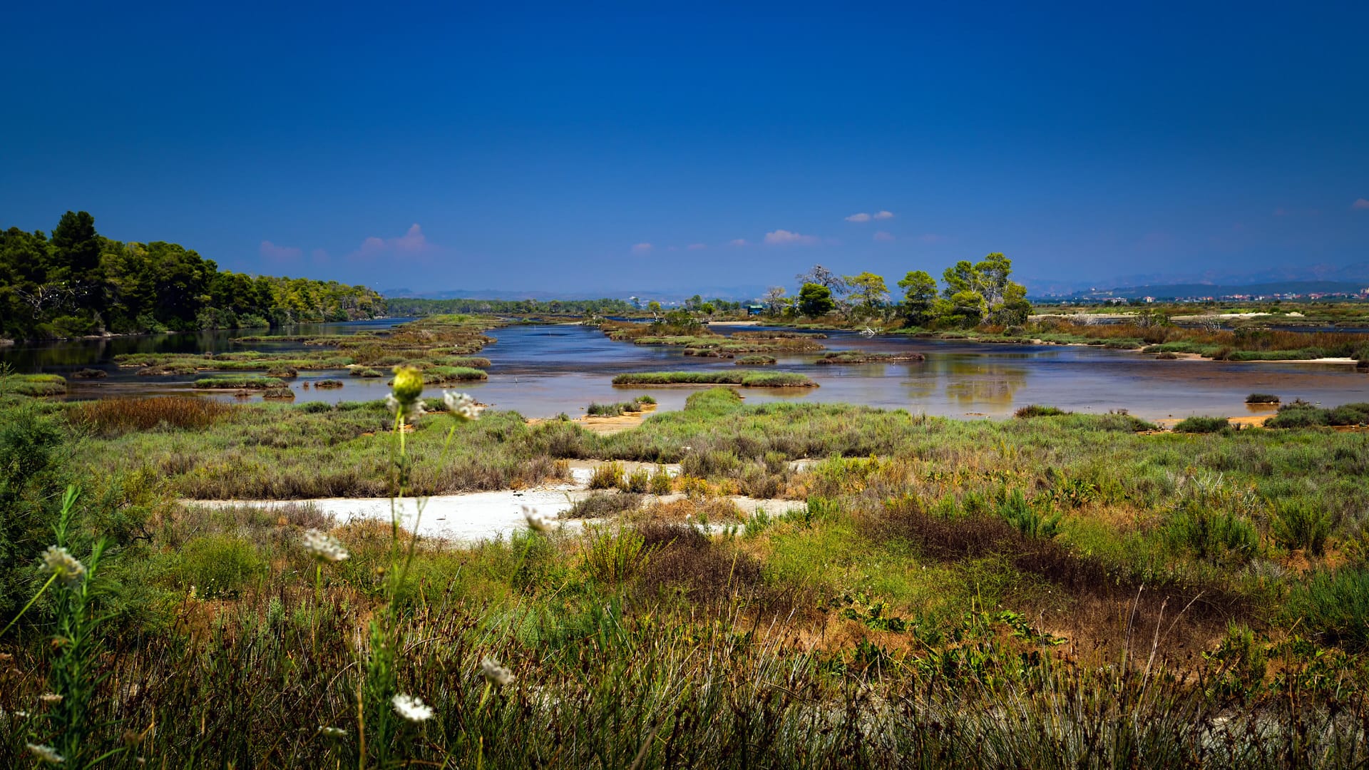 The Lagoon of Karavasta - Image 1