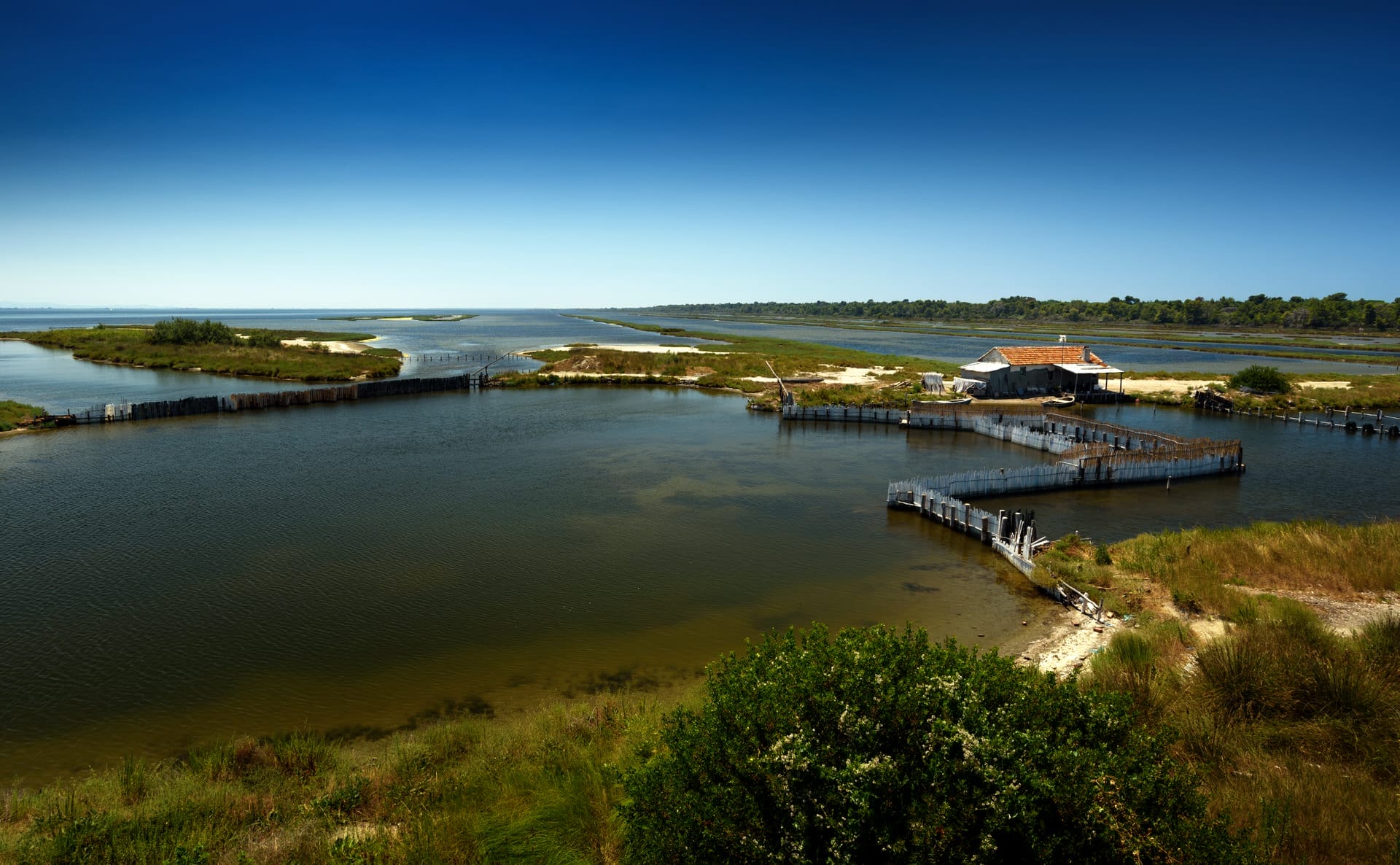 The Divjake-Karavasta National Park