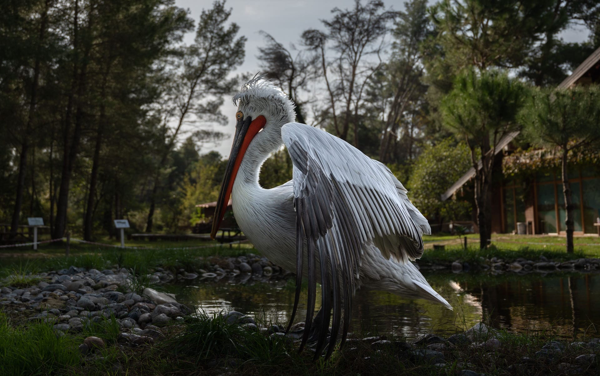 The Lagoon of Karavasta