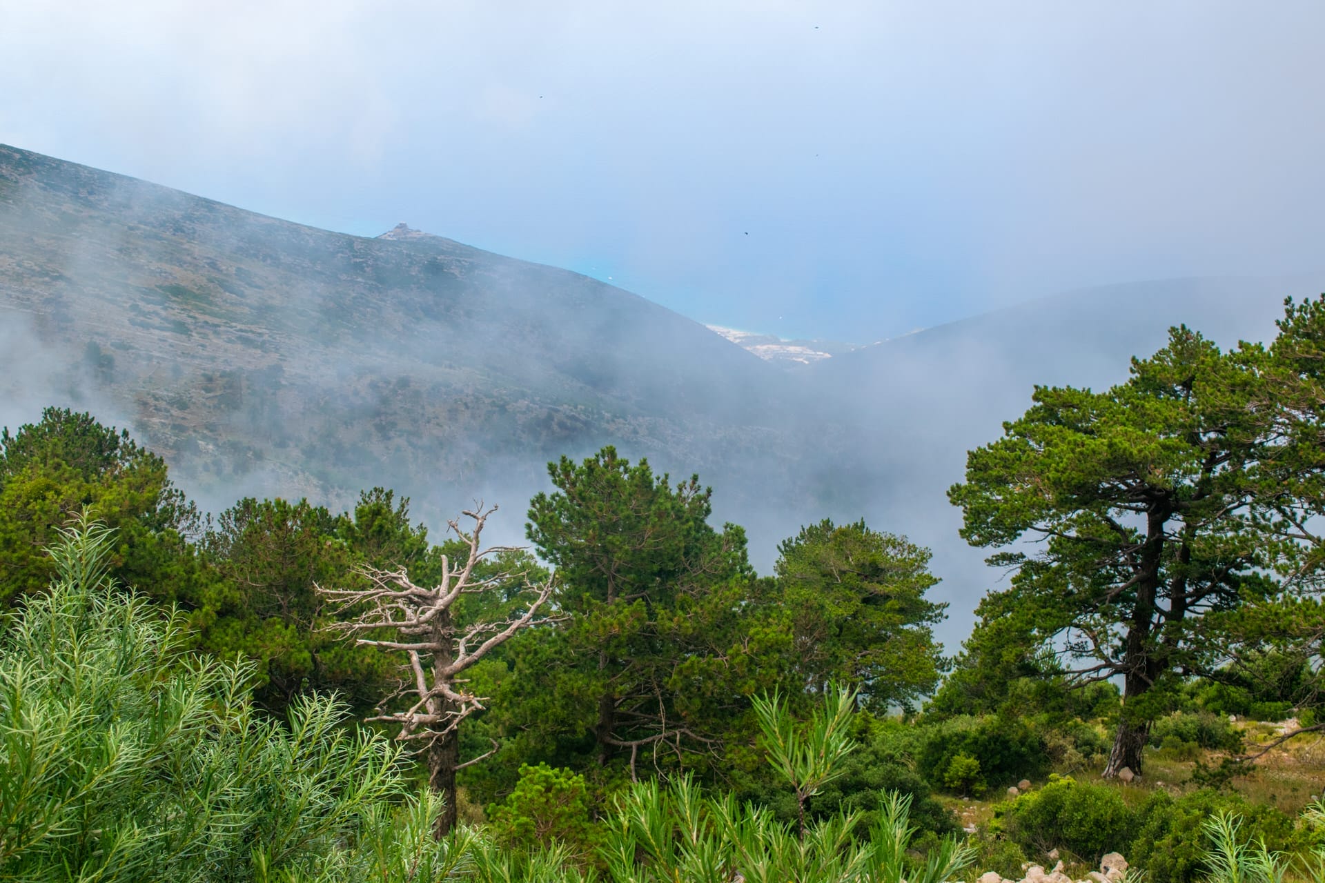 Llogara National Park