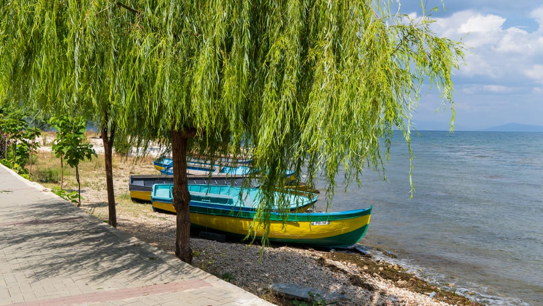 Pogradec - Image 7