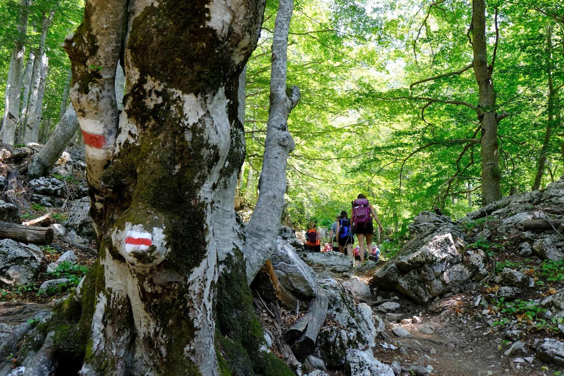 Hiking in the Albanian Alps