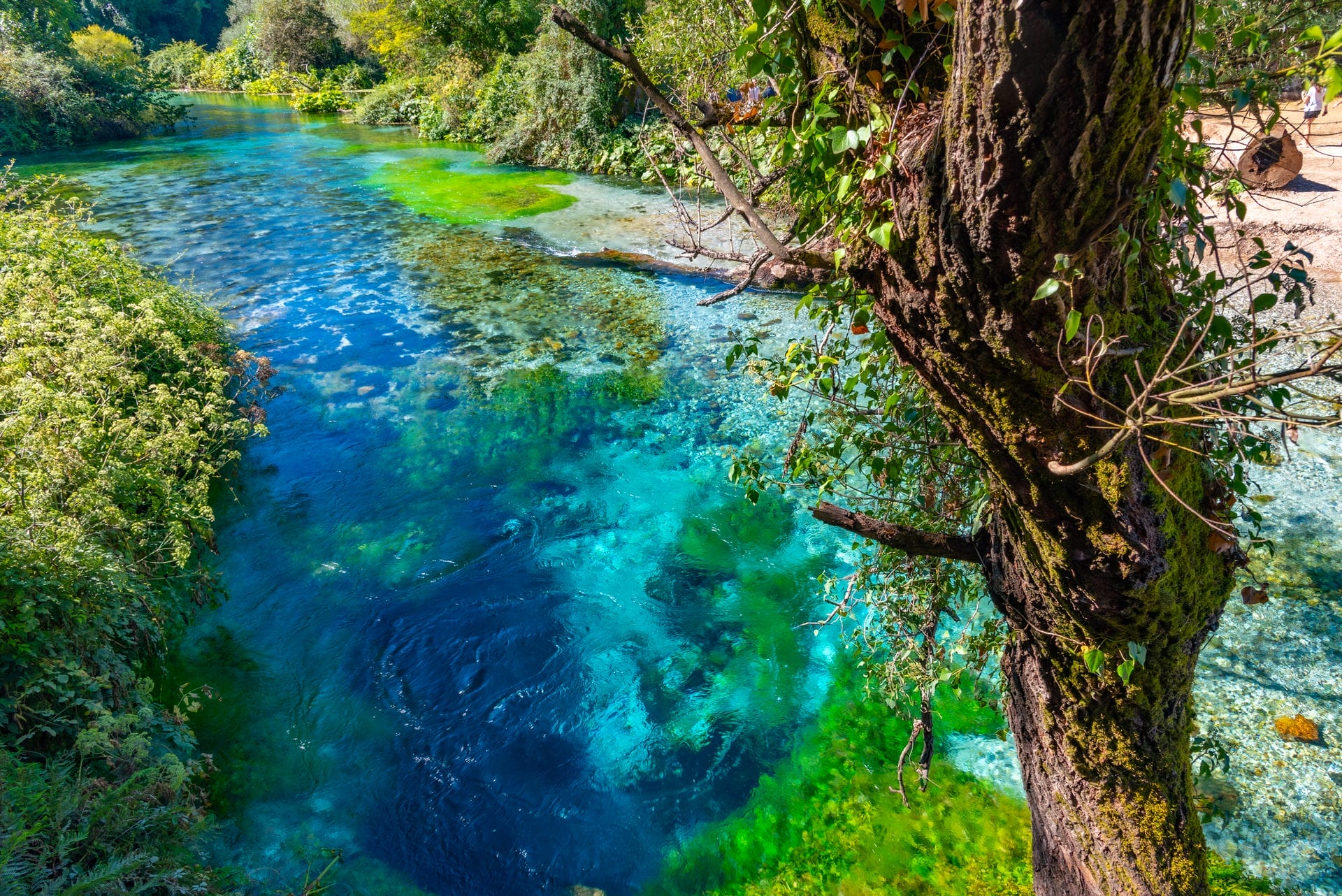 Blue Eye Spring - Image 3