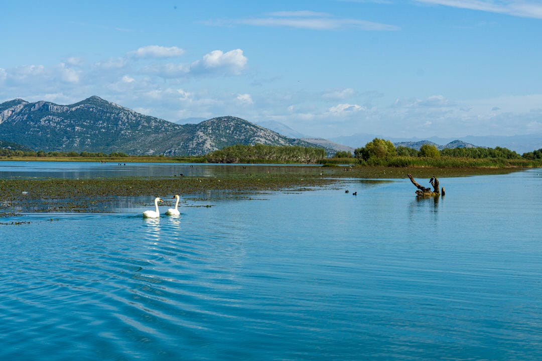 Shkodër - Image 3