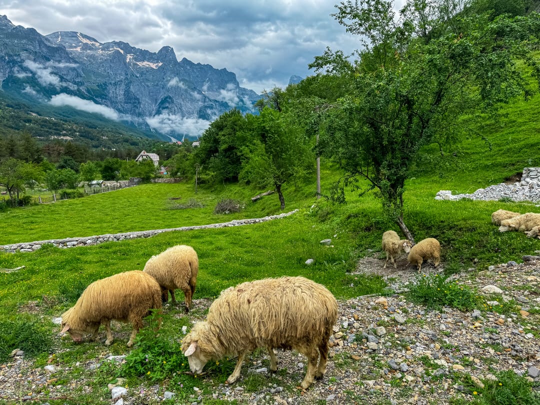 Valbona - Image 13