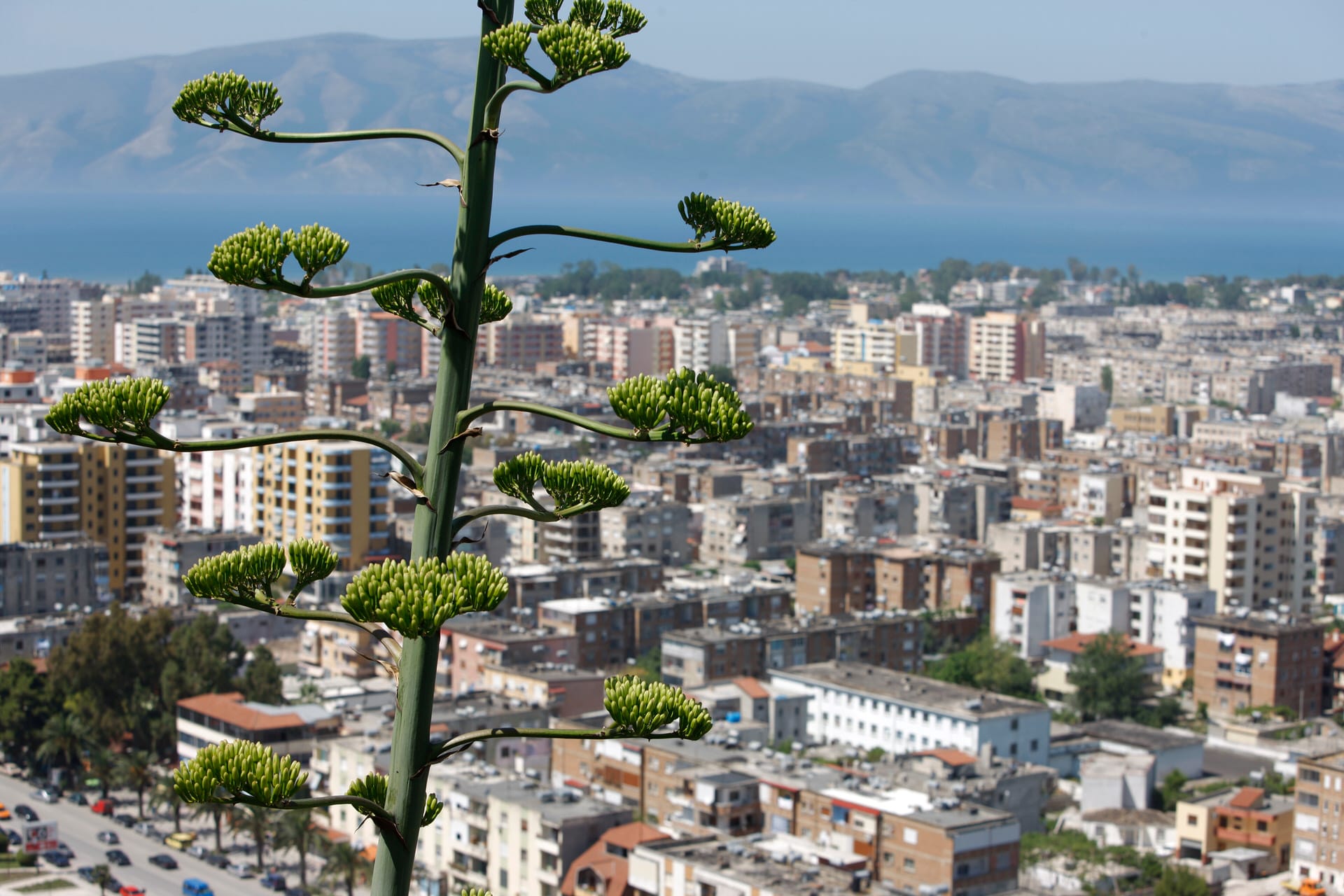 Vlorë - Image 5