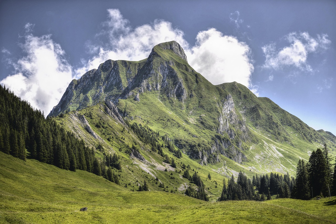 Valley of Theth with a herd of cows in the dinaric alps in Albania